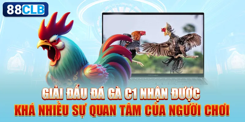 Giải đấu đá gà C1 nhận được khá nhiều sự quan tâm của người chơi