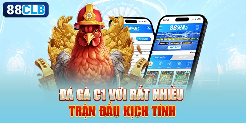 Đá gà C1 với rất nhiều trận đấu kịch tính