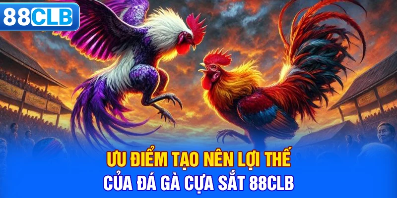 Ưu điểm tạo nên lợi thế của đá gà Cựa Sắt 88CLB